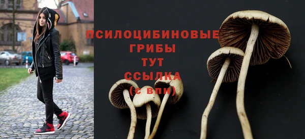 соль ск Волоколамск