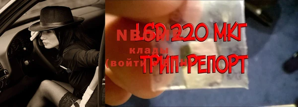 герыч Вяземский