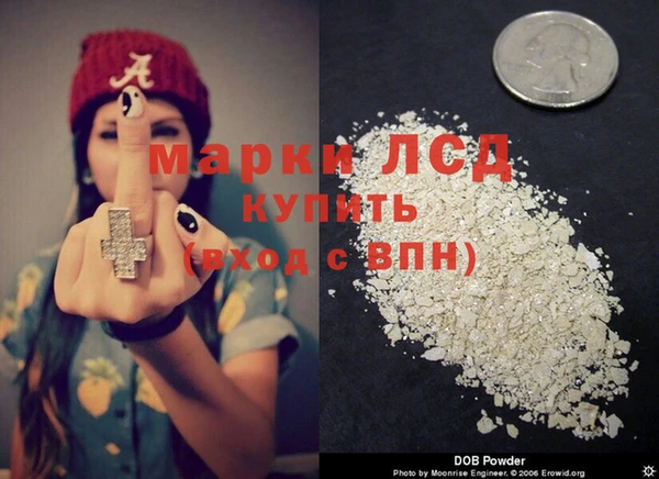 стафф Волосово