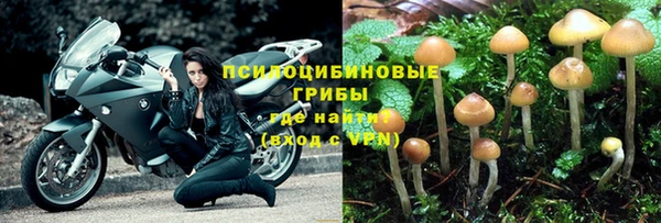стафф Володарск
