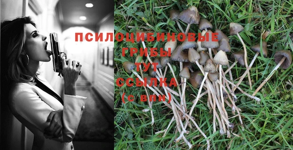экстази Вязьма