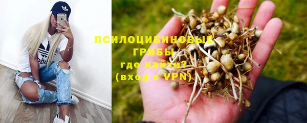 герыч Вяземский